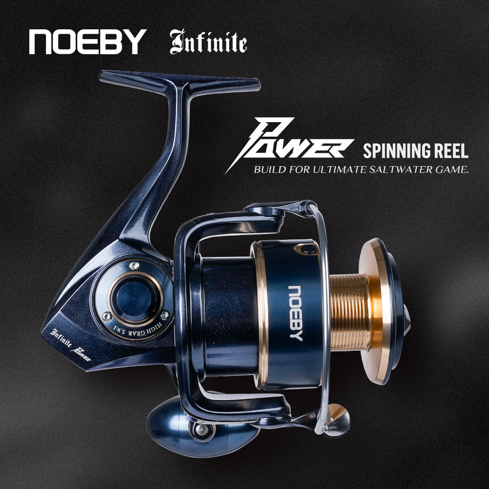 Noeby Infinite Power Spinning  - Daiwa Reel Bg 评论和价格