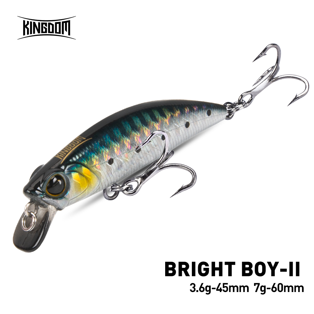 Kingdom Sinking Minnow Fishing - Fishing Lure Crankbait 评论和价格