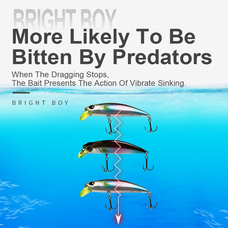 Kingdom Sinking Minnow Fishing - Fishing Lure Crankbait 评论和价格